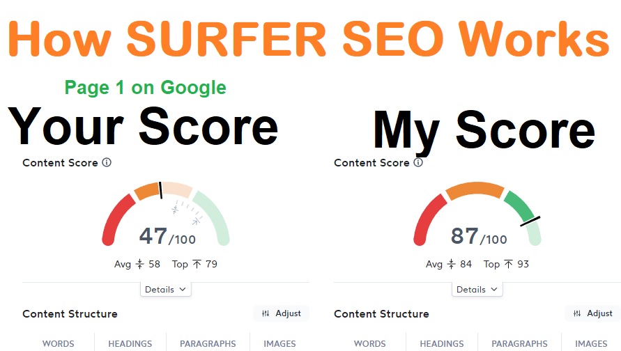 How Surfer SEO works